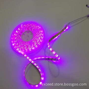 LED Body Sensor Bed Light for Double